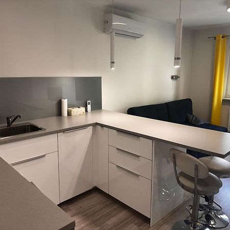Comfortable Studio Only 20 Minutes From International Conference Center Katowice Best Place For Wuf2022 Eec Tnf Off Etc Siemianowice Śląskie Eksteriør billede